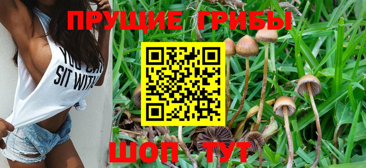Вязьма  Галлюциногенные грибы мицелий  Вход с VPN  Галлюциногенные грибы Psilocybine cubensis 